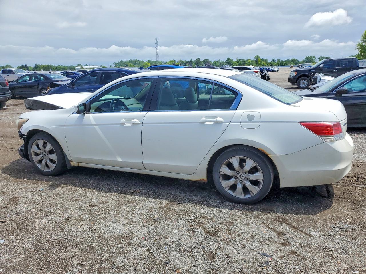 2010 Honda Accord Exl White vin: 1HGCP2F88AA805226