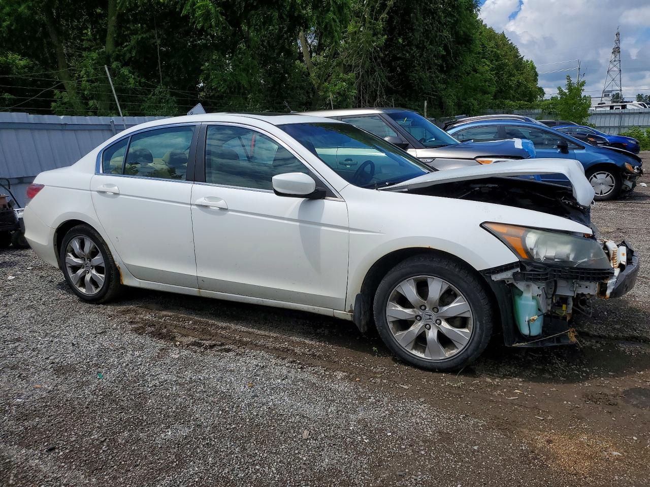 2010 Honda Accord Exl White vin: 1HGCP2F88AA805226