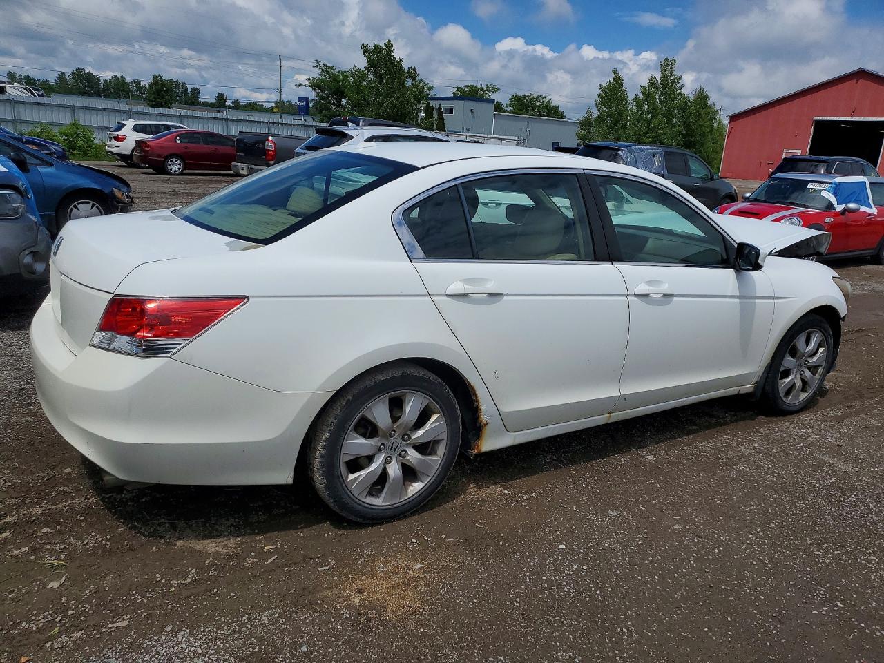 2010 Honda Accord Exl White vin: 1HGCP2F88AA805226