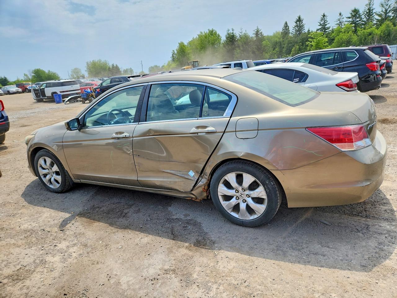 2010 Honda Accord Exl Gold vin: 1HGCP2F88AA805940