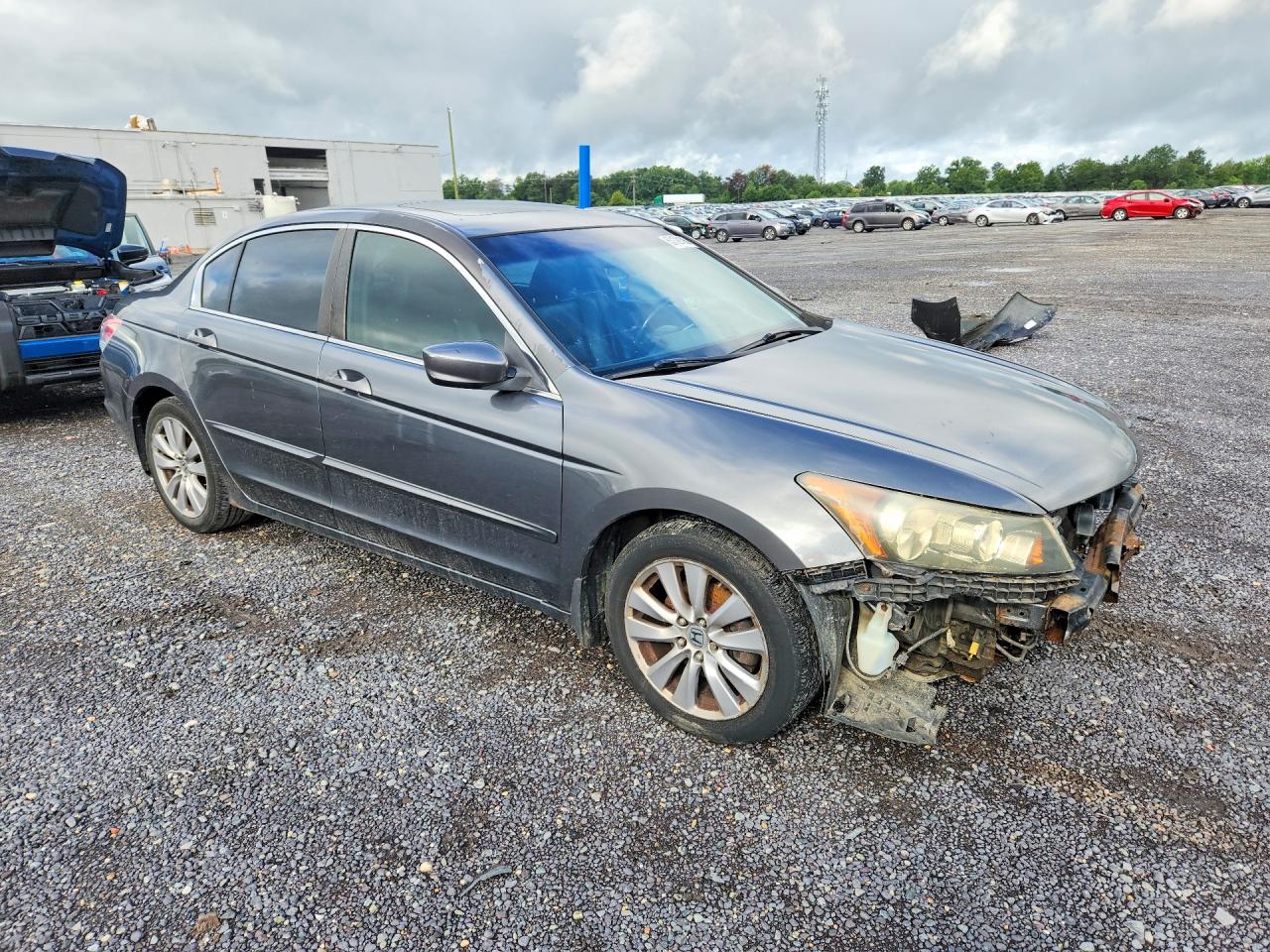 2011 Honda Accord Exl Gray vin: 1HGCP2F88BA015653