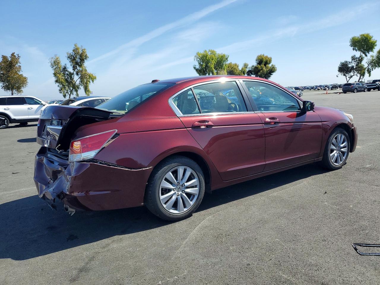 2011 Honda Accord Exl Burgundy vin: 1HGCP2F88BA077893