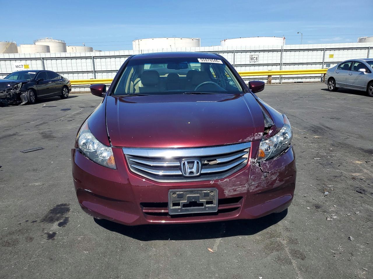 2011 Honda Accord Exl Burgundy vin: 1HGCP2F88BA077893