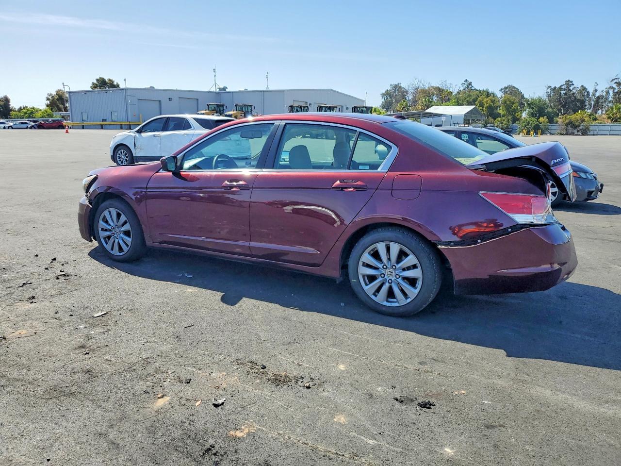 2011 Honda Accord Exl Burgundy vin: 1HGCP2F88BA077893