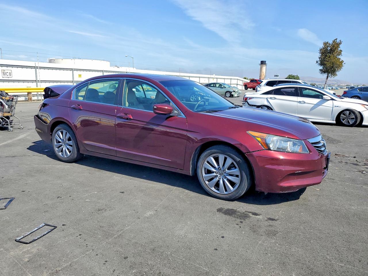 2011 Honda Accord Exl Burgundy vin: 1HGCP2F88BA077893