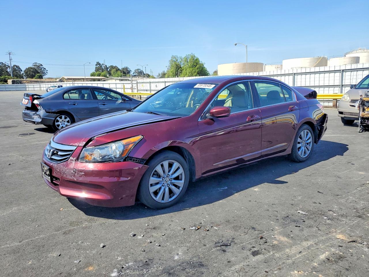 2011 Honda Accord Exl Burgundy vin: 1HGCP2F88BA077893