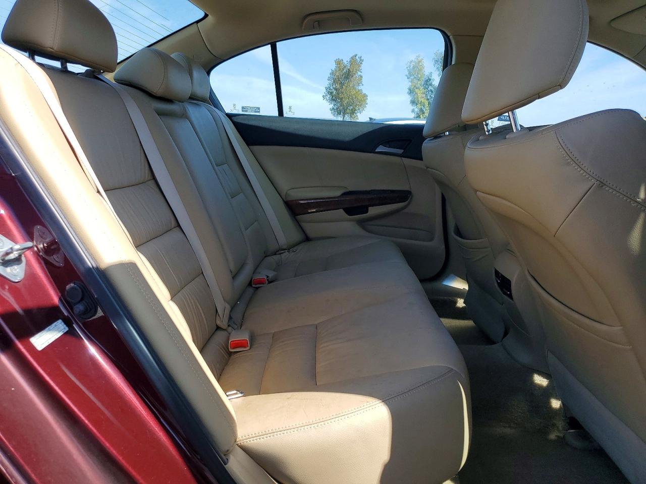 2011 Honda Accord Exl Burgundy vin: 1HGCP2F88BA077893