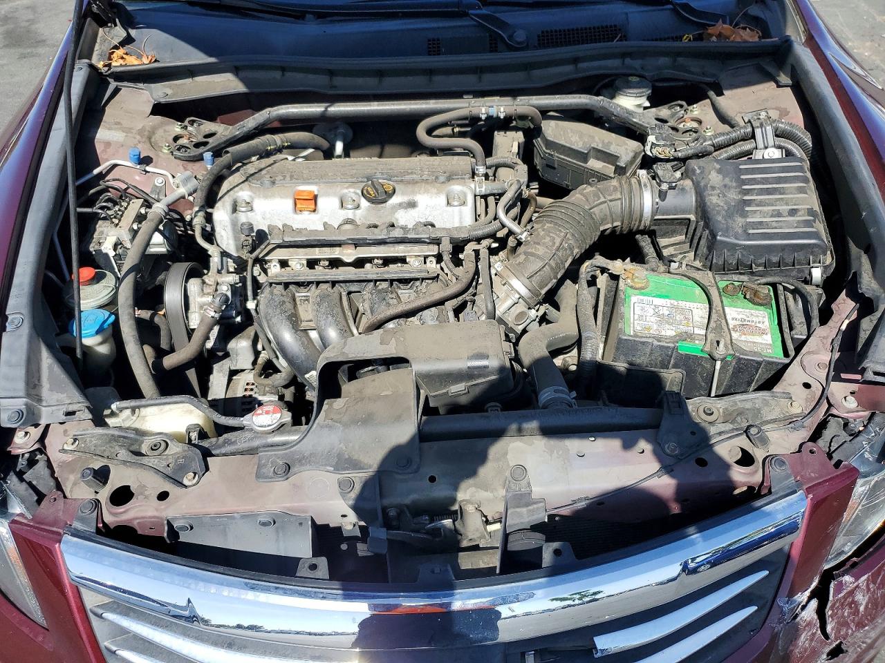 2011 Honda Accord Exl Burgundy vin: 1HGCP2F88BA077893