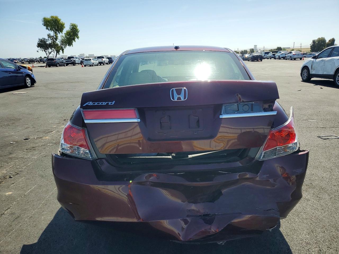 2011 Honda Accord Exl Burgundy vin: 1HGCP2F88BA077893