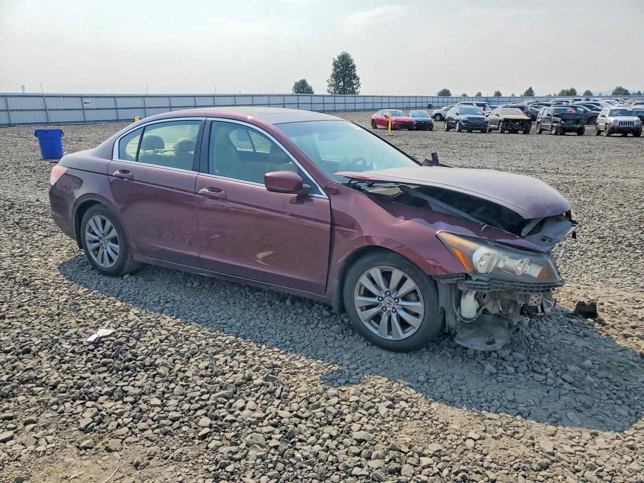 2011 Honda Accord Exl Burgundy vin: 1HGCP2F88BA095116