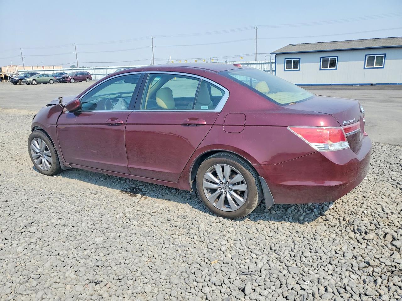 2011 Honda Accord Exl Burgundy vin: 1HGCP2F88BA095116