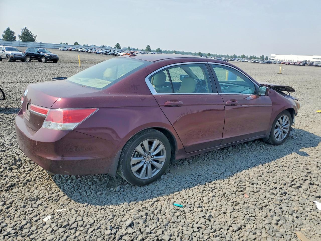 2011 Honda Accord Exl Burgundy vin: 1HGCP2F88BA095116