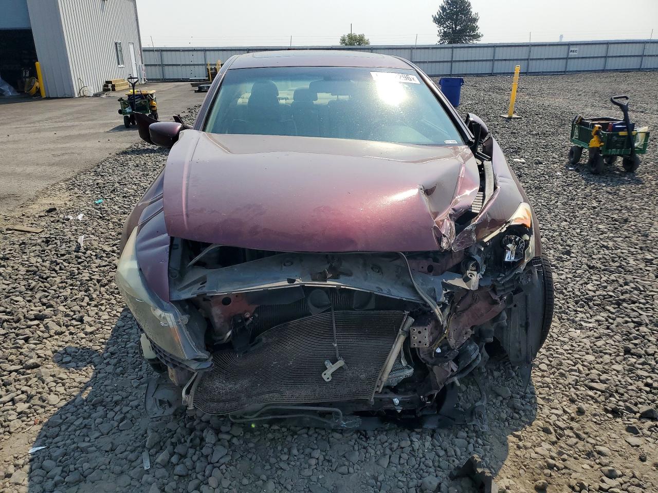 2011 Honda Accord Exl Burgundy vin: 1HGCP2F88BA095116