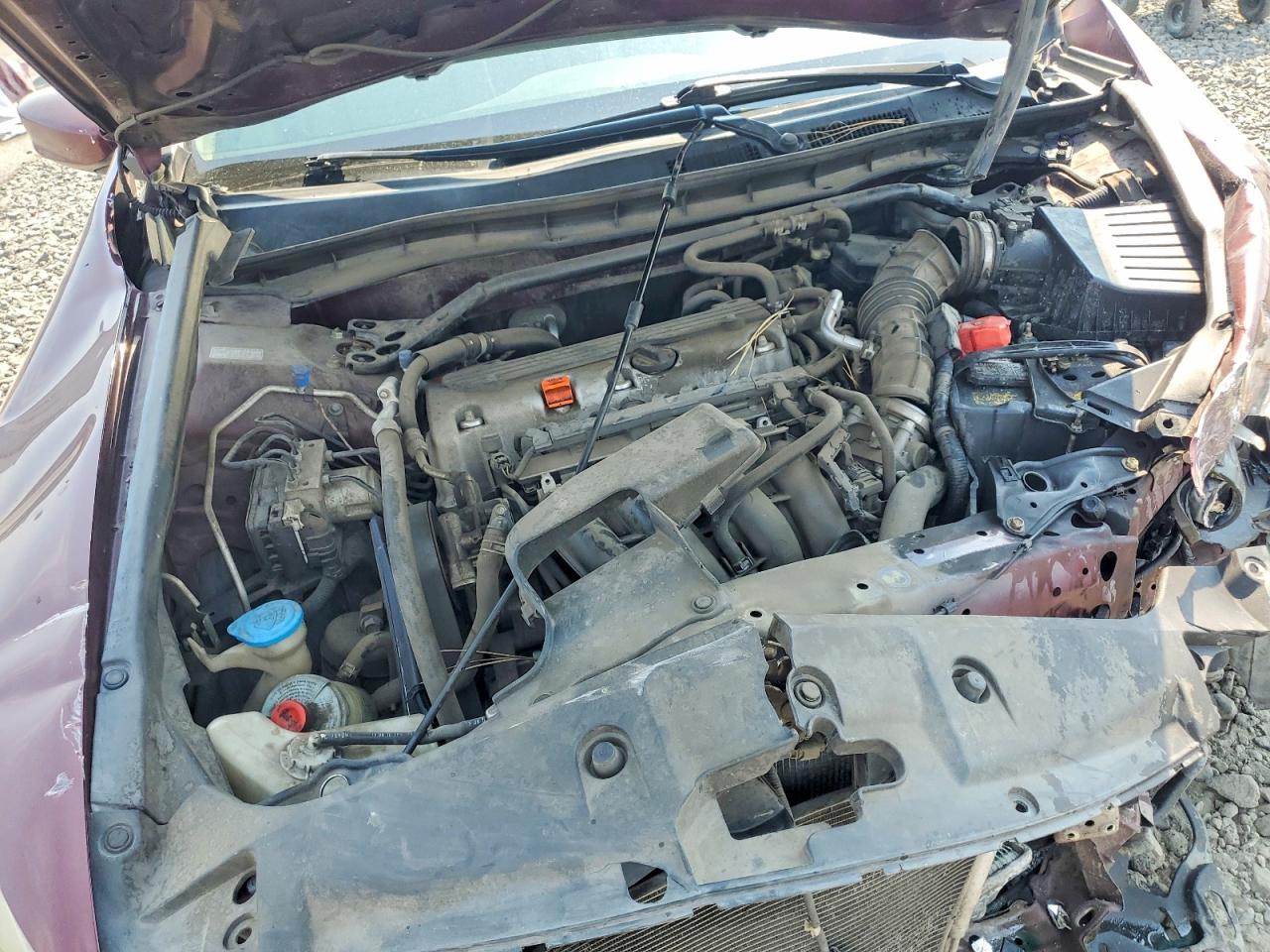 2011 Honda Accord Exl Burgundy vin: 1HGCP2F88BA095116