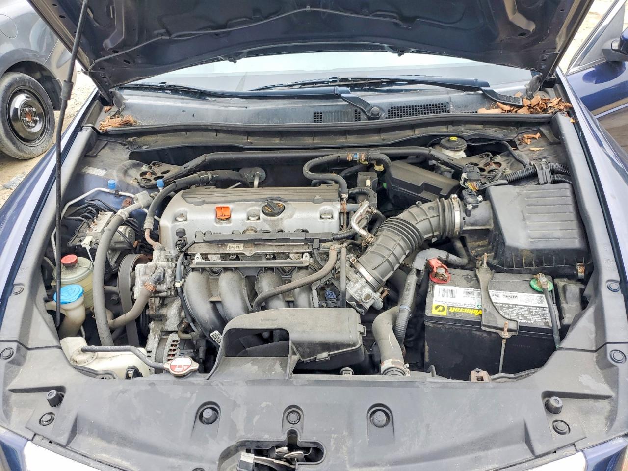 2011 Honda Accord Exl Blue vin: 1HGCP2F88BA112397