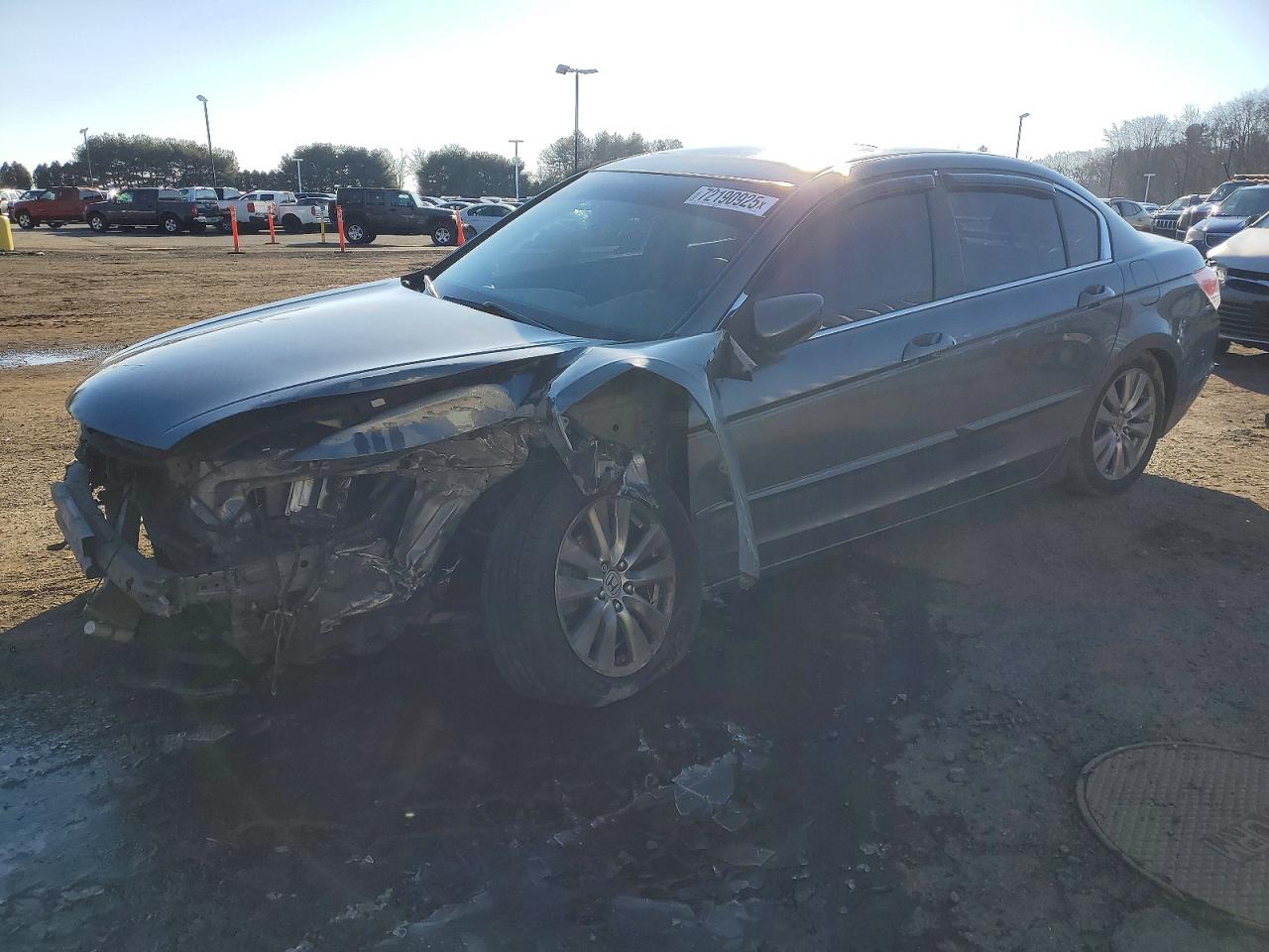 2011 Honda Accord Exl Gray vin: 1HGCP2F88BA121262