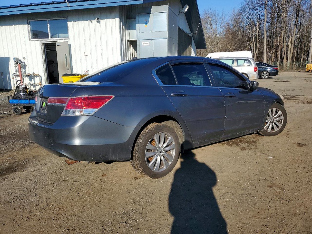 2011 Honda Accord Exl Gray vin: 1HGCP2F88BA121262