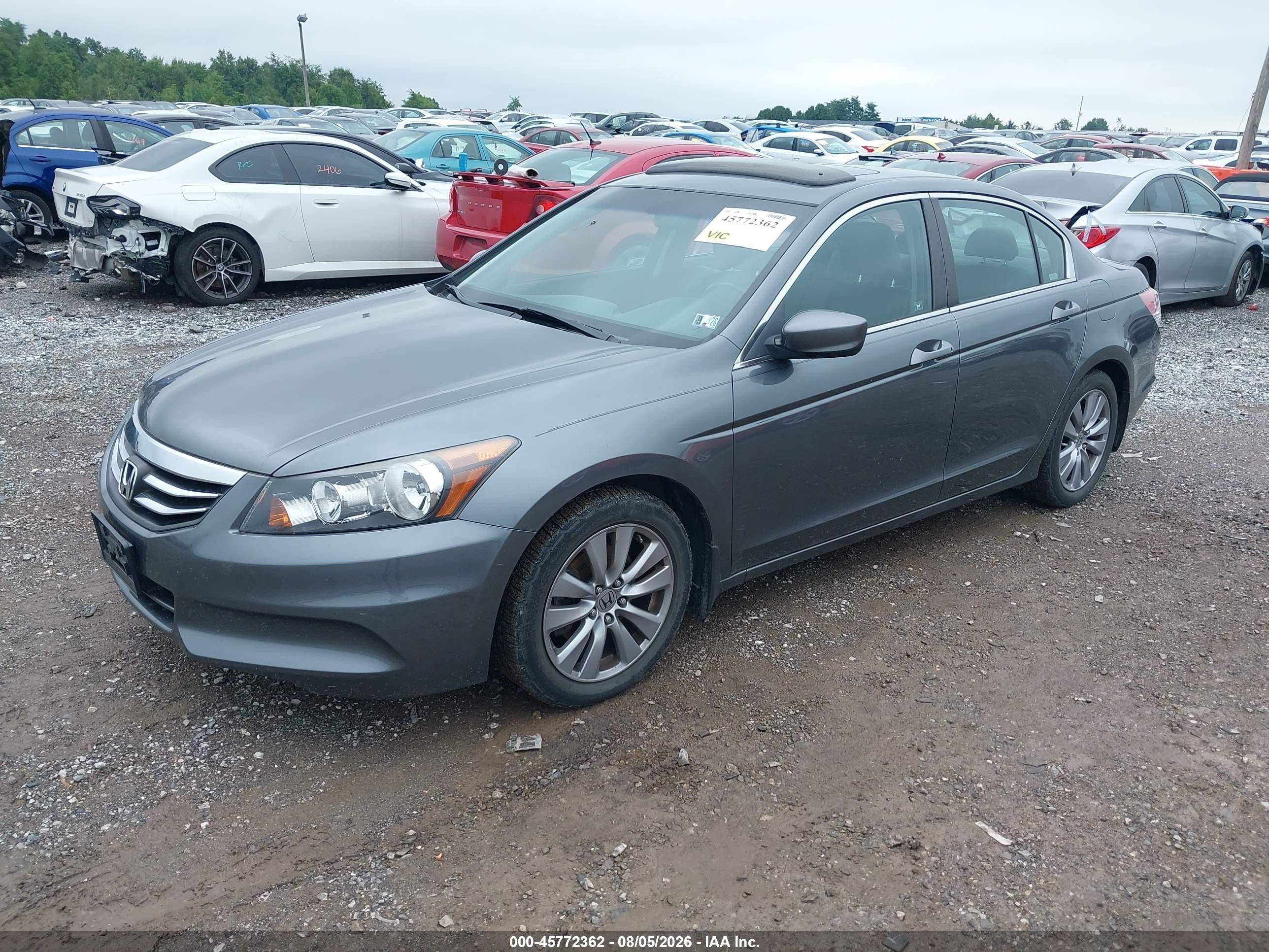 2011 Honda Accord 2.4 Ex-l Gray vin: 1HGCP2F88BA154360