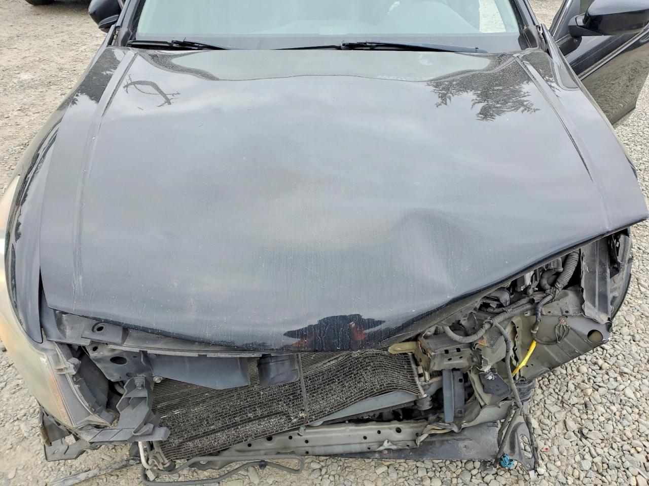 2012 Honda Accord Exl Black vin: 1HGCP2F88CA052719