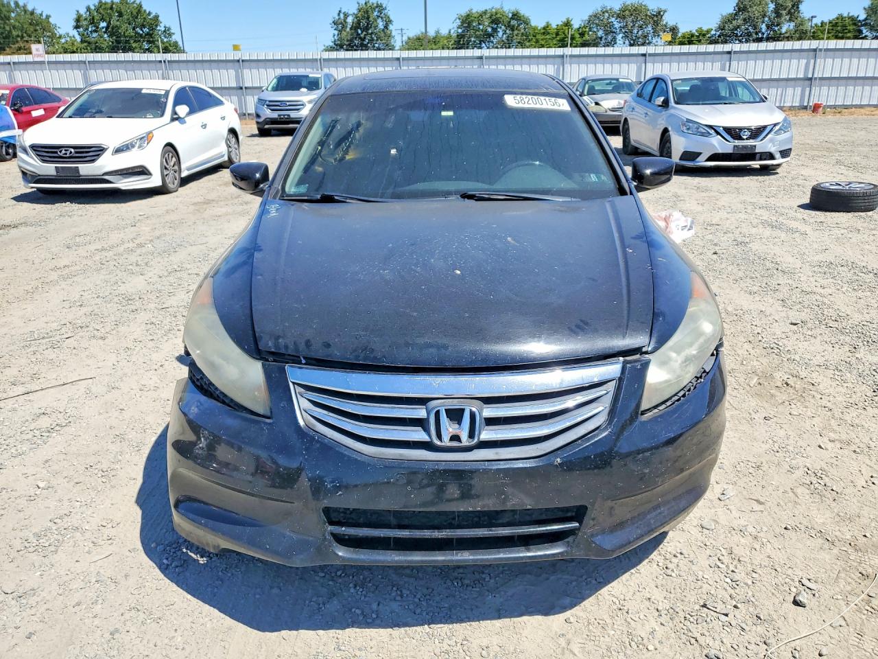 2012 Honda Accord Exl Black vin: 1HGCP2F88CA086997