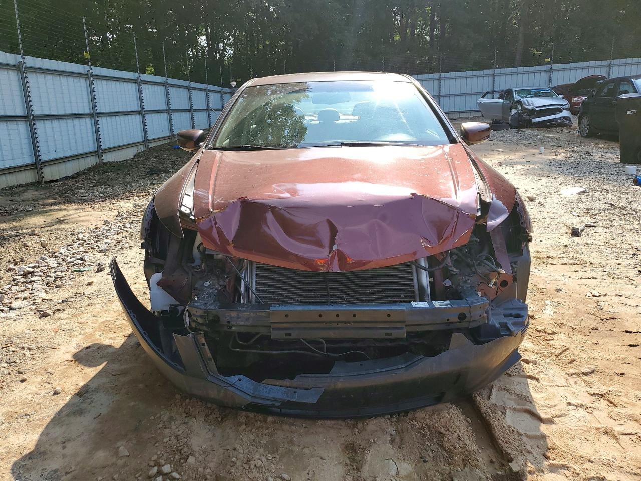 2010 Honda Accord Exl Maroon vin: 1HGCP2F89AA074161
