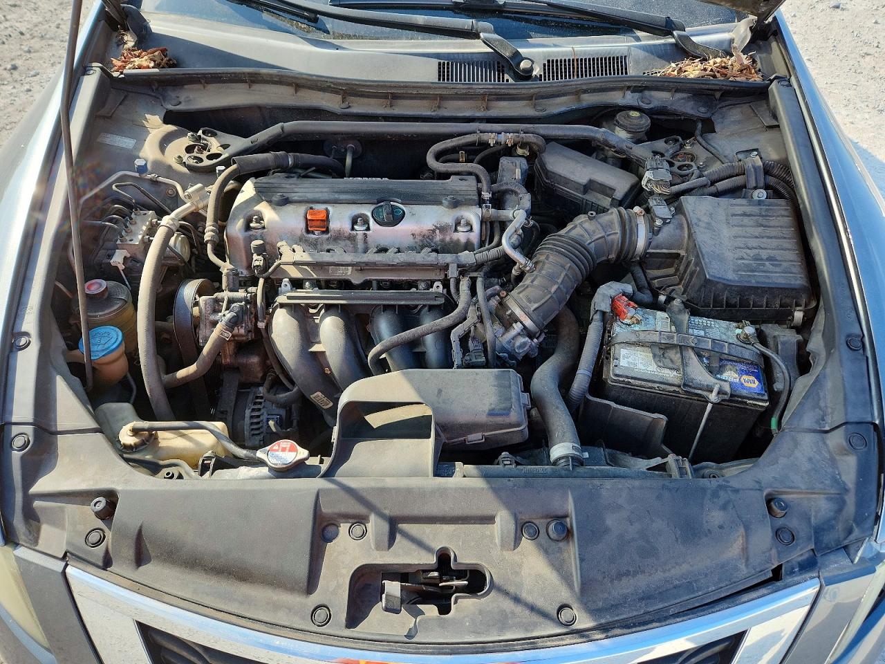 2010 Honda Accord Exl Gray vin: 1HGCP2F89AA161073