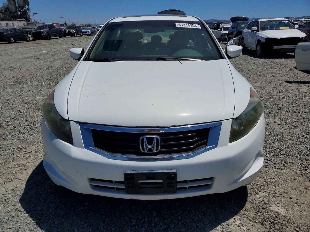 2010 Honda Accord Exl White vin: 1HGCP2F89AA186037