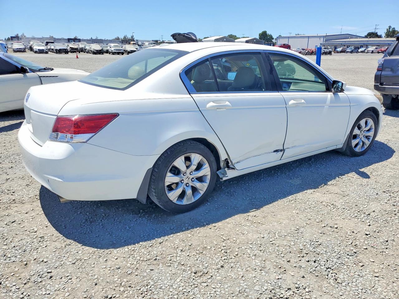 2010 Honda Accord Exl White vin: 1HGCP2F89AA186037