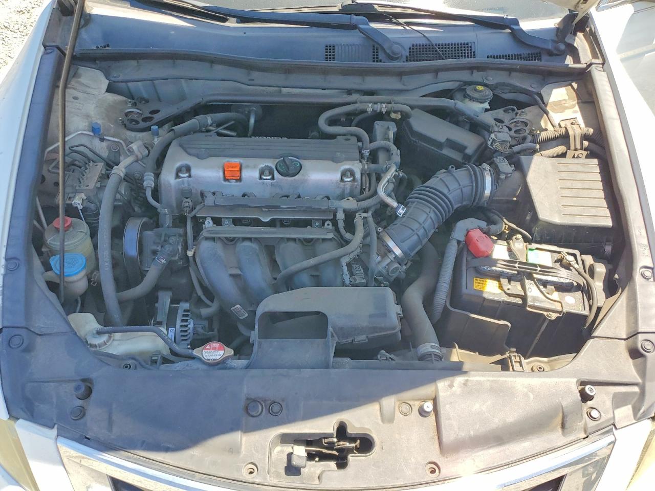 2010 Honda Accord Exl White vin: 1HGCP2F89AA186037