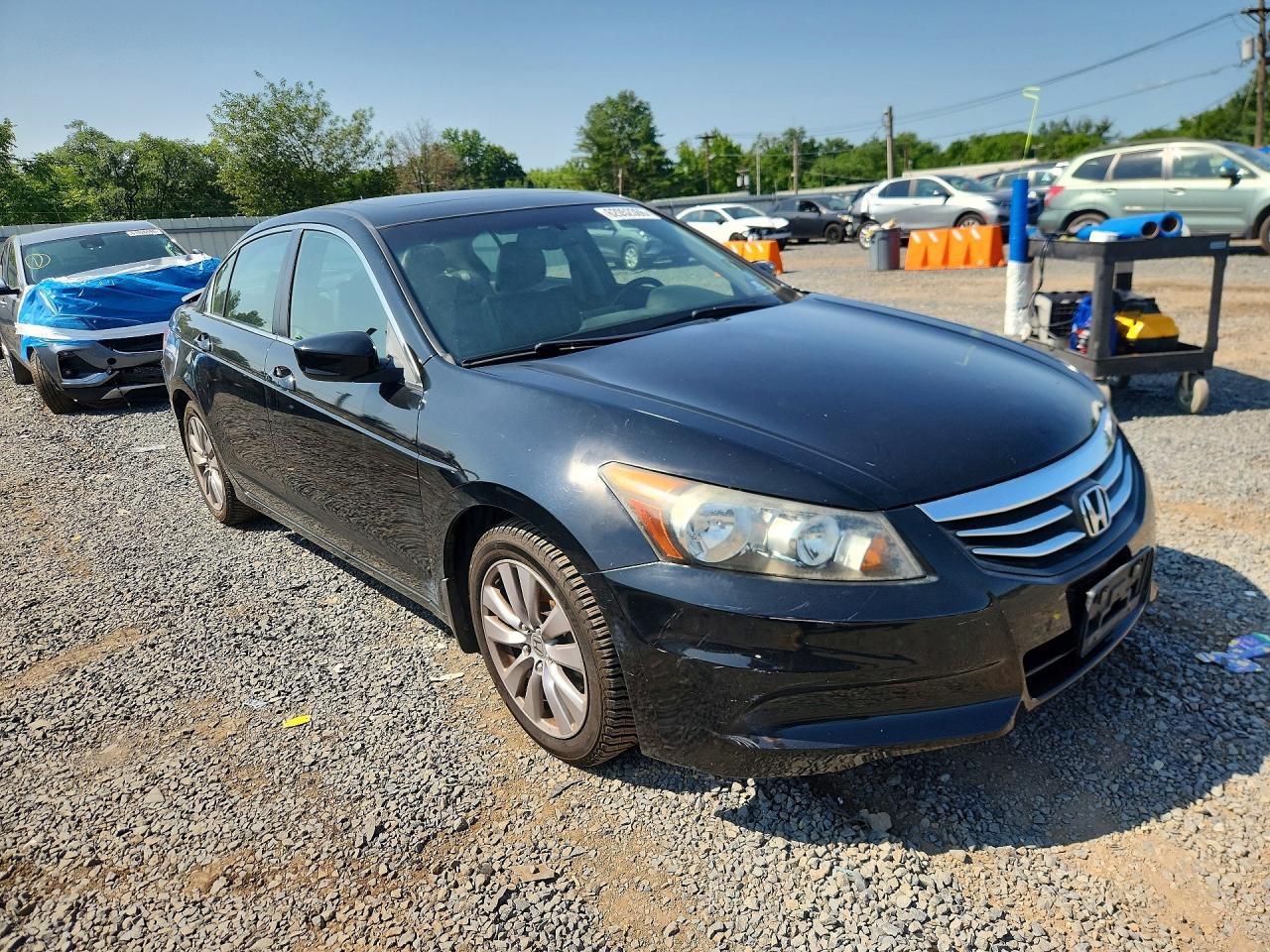 2011 Honda Accord Exl Black vin: 1HGCP2F89BA016536
