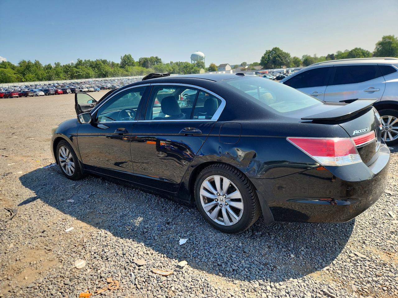 2011 Honda Accord Exl Black vin: 1HGCP2F89BA016536