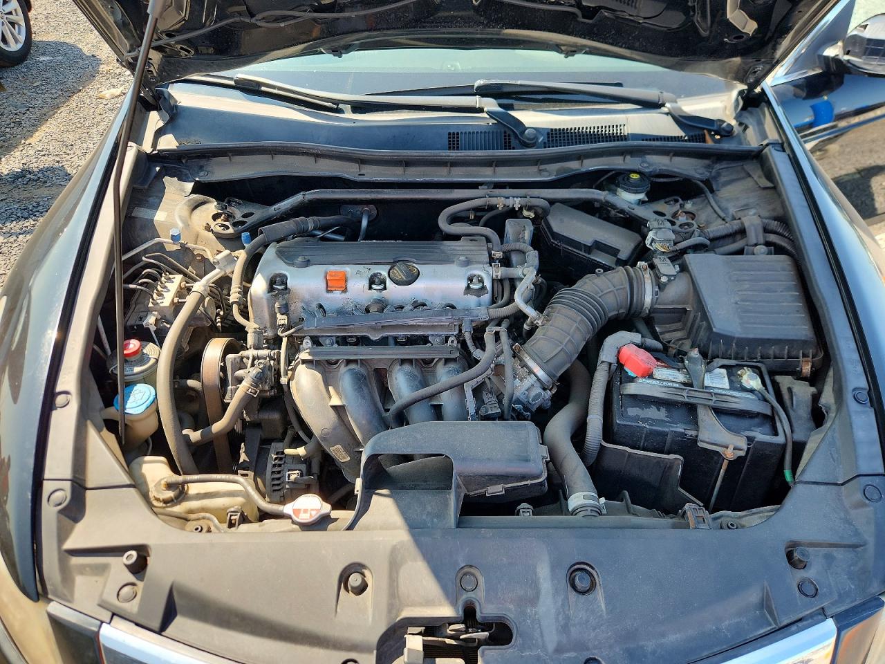 2011 Honda Accord Exl Black vin: 1HGCP2F89BA016536