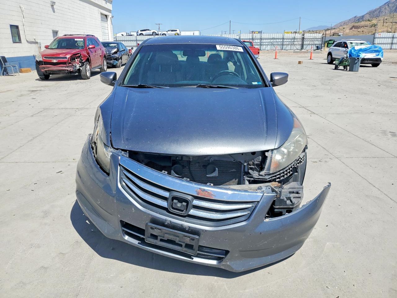 2011 Honda Accord Exl Gray vin: 1HGCP2F89BA068992