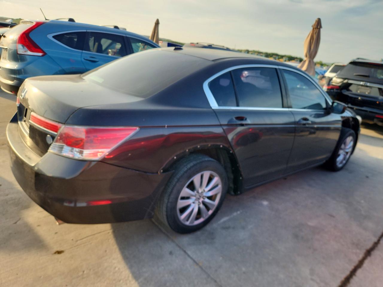 2011 Honda Accord Exl Brown vin: 1HGCP2F89BA071424