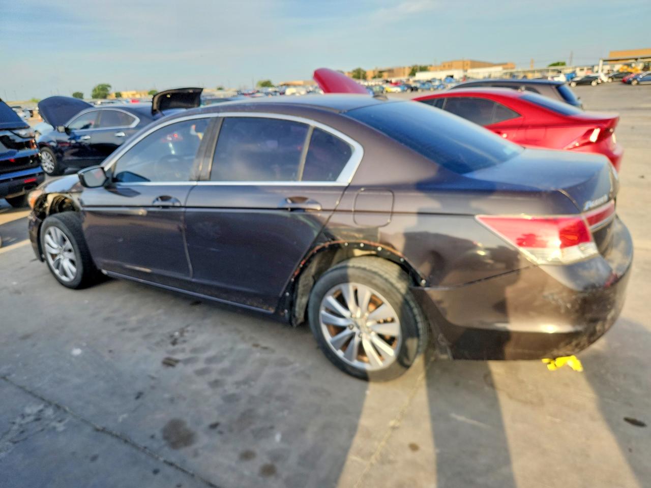 2011 Honda Accord Exl Brown vin: 1HGCP2F89BA071424