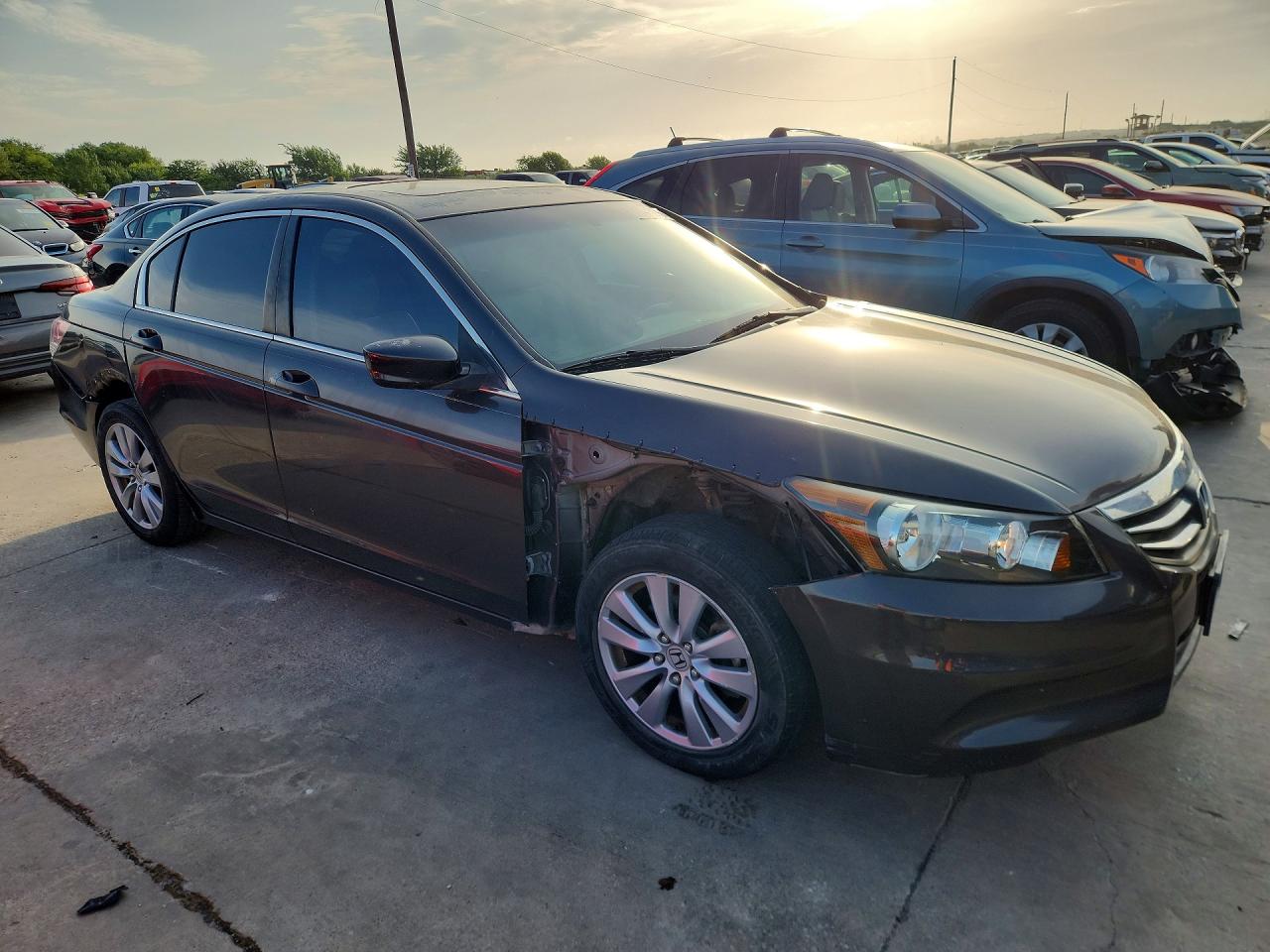 2011 Honda Accord Exl Brown vin: 1HGCP2F89BA071424