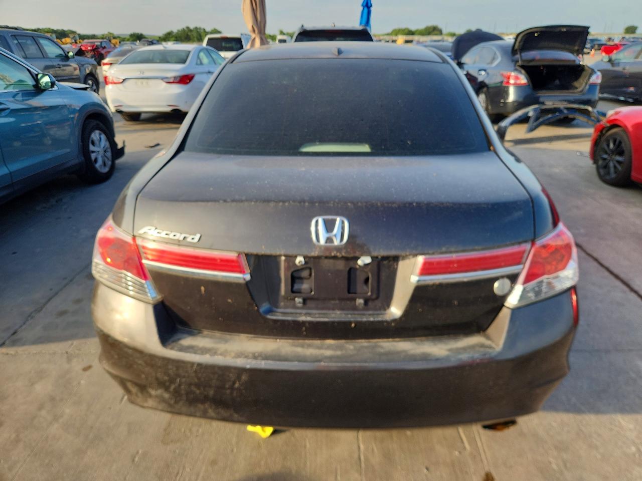 2011 Honda Accord Exl Brown vin: 1HGCP2F89BA071424