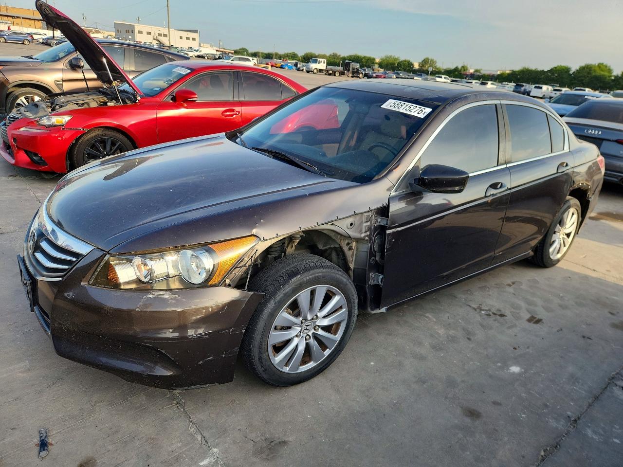2011 Honda Accord Exl Brown vin: 1HGCP2F89BA071424
