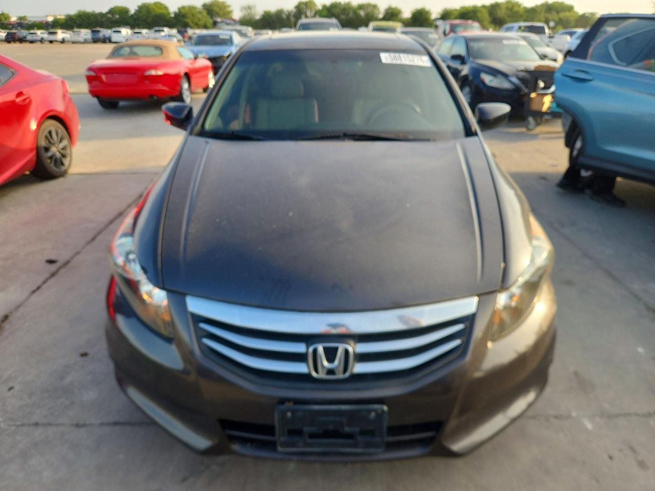 2011 Honda Accord Exl Brown vin: 1HGCP2F89BA071424