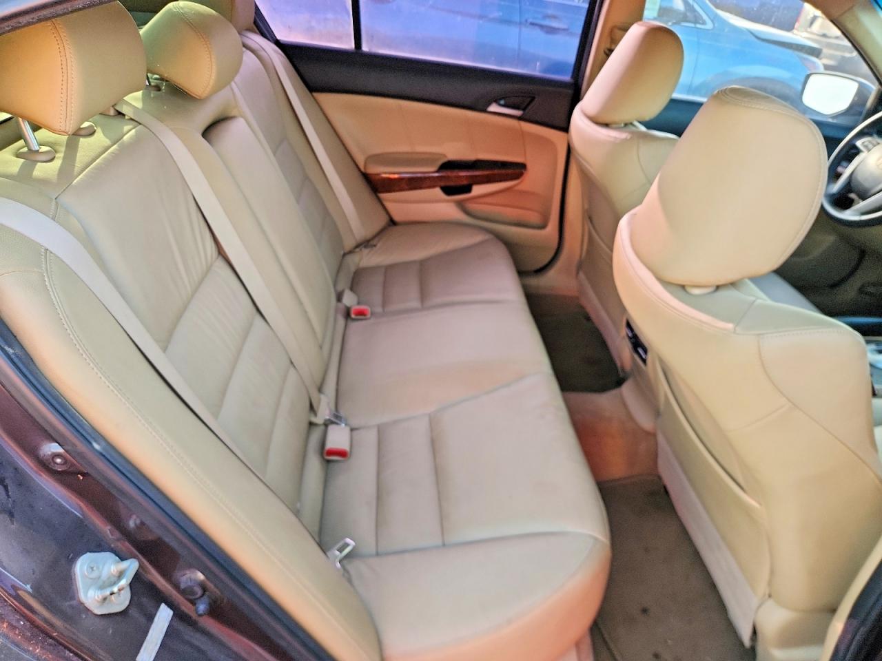 2011 Honda Accord Exl Brown vin: 1HGCP2F89BA071424