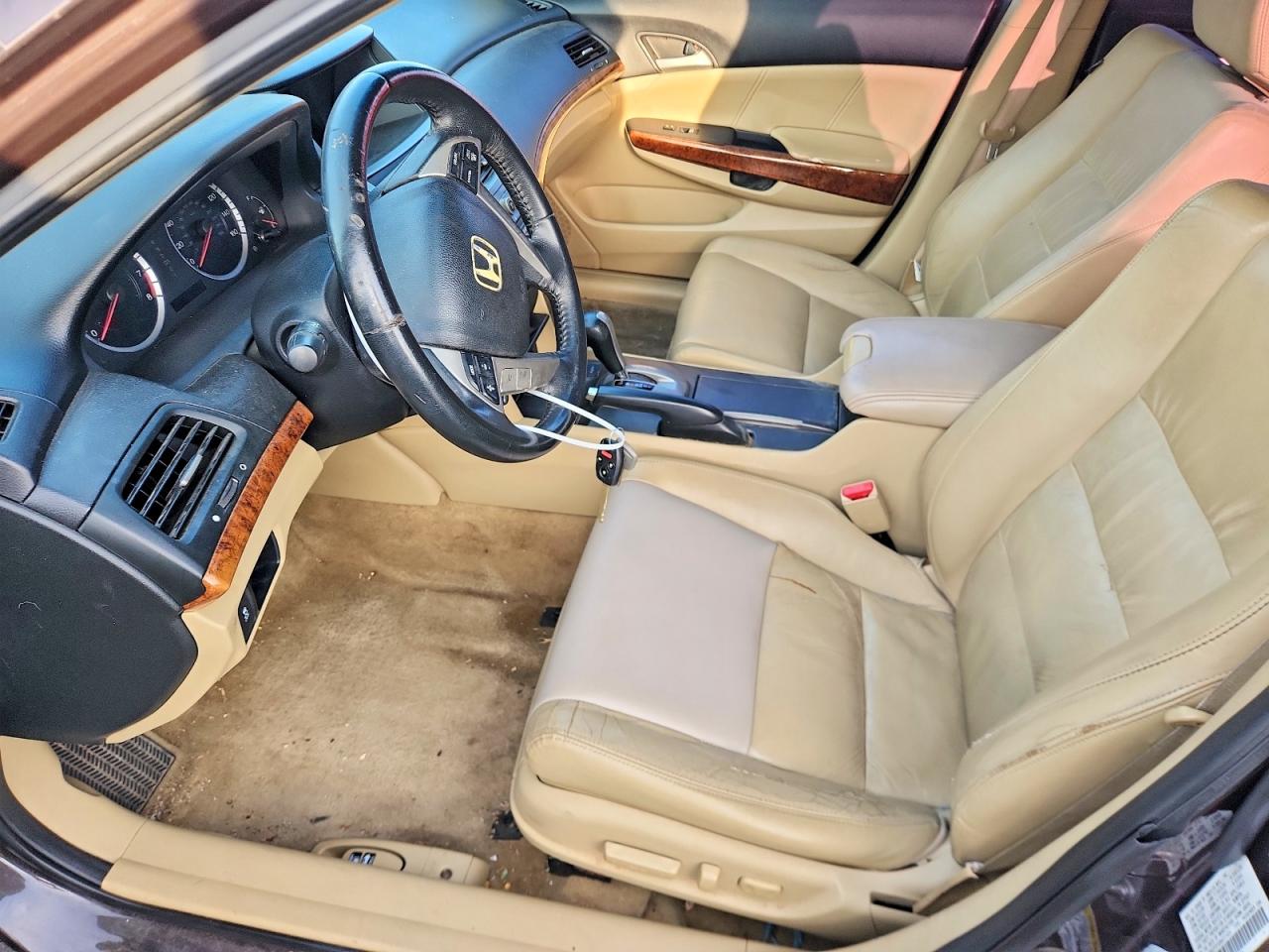 2011 Honda Accord Exl Brown vin: 1HGCP2F89BA071424