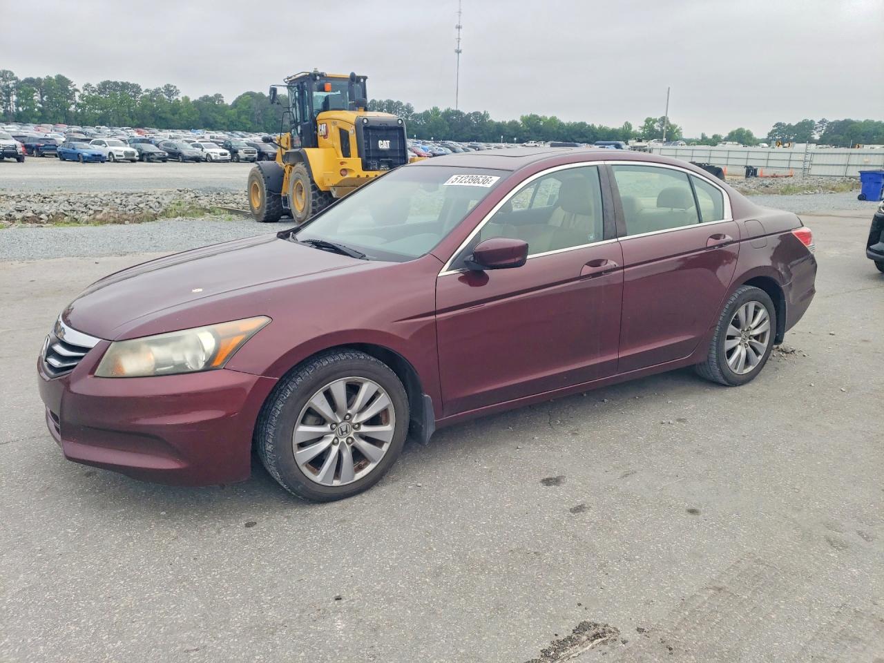 2011 Honda Accord Exl Темно-бордовый vin: 1HGCP2F89BA080463