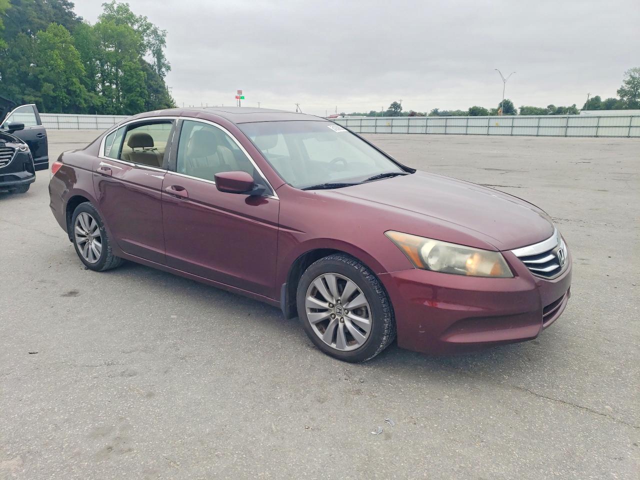 2011 Honda Accord Exl Темно-бордовый vin: 1HGCP2F89BA080463