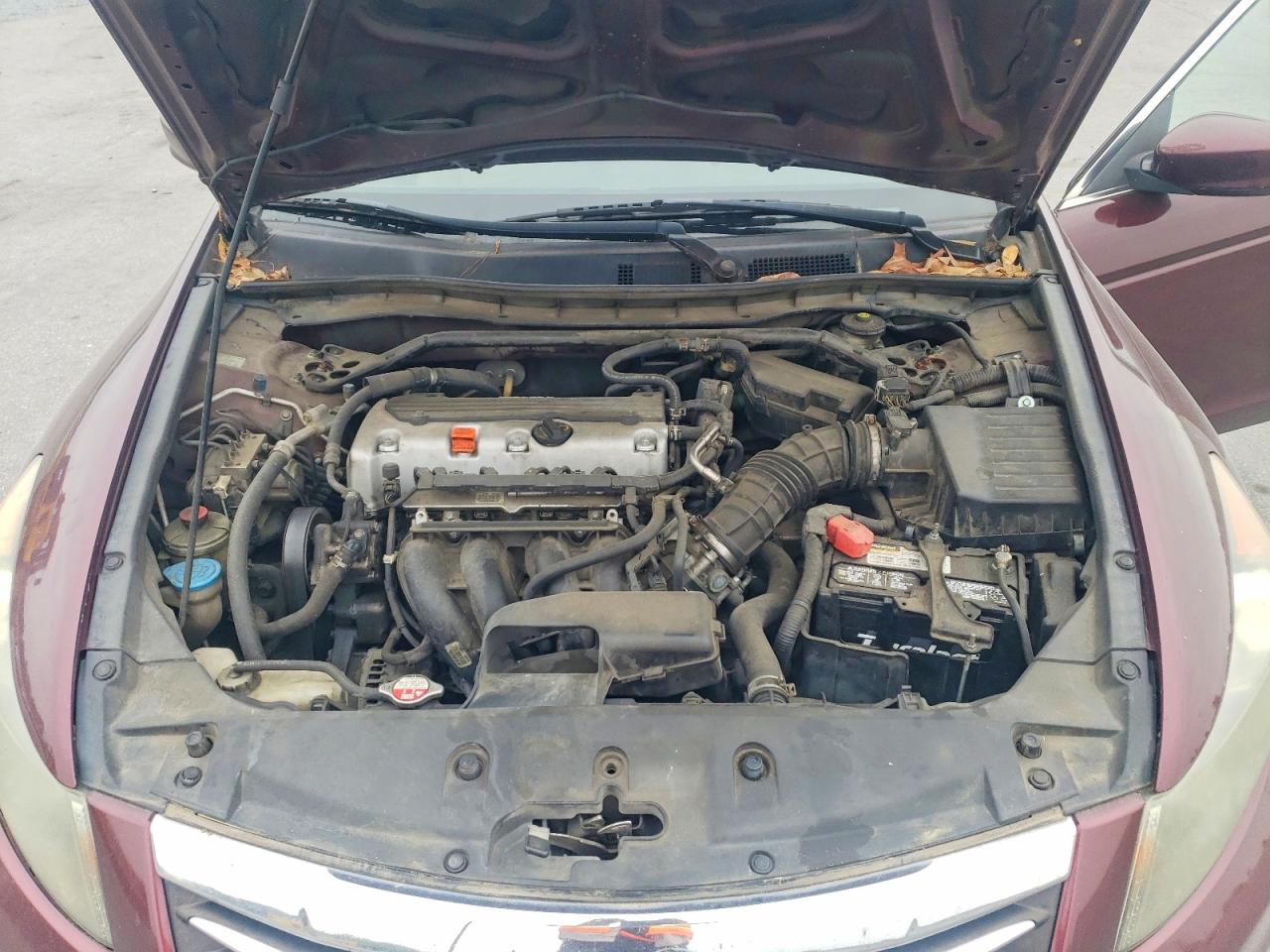 2011 Honda Accord Exl Темно-бордовый vin: 1HGCP2F89BA080463