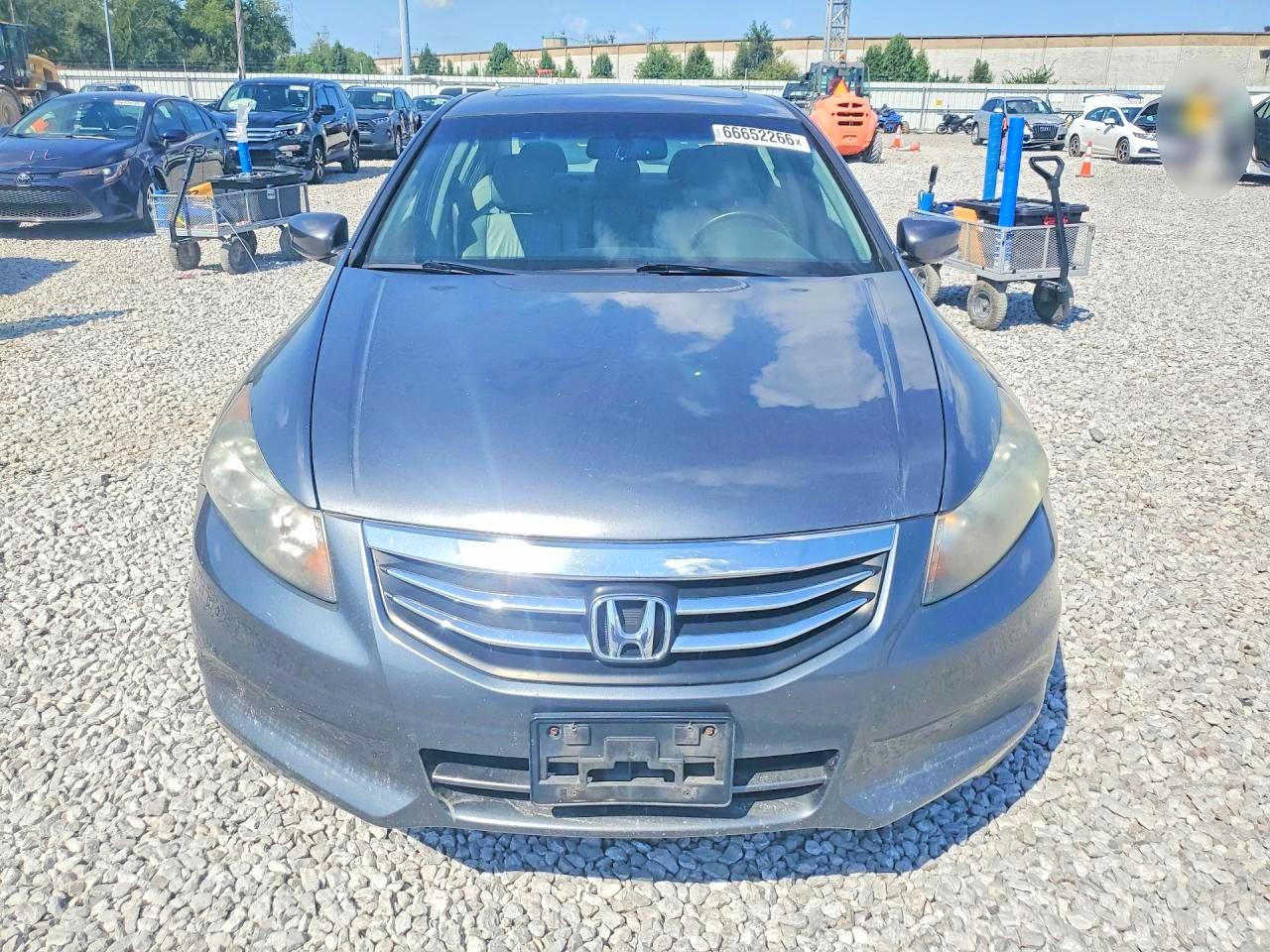 2011 Honda Accord Exl Gray vin: 1HGCP2F89BA091821
