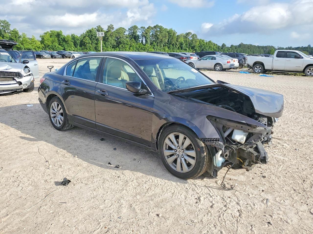 2012 Honda Accord Exl Brown vin: 1HGCP2F89CA119196