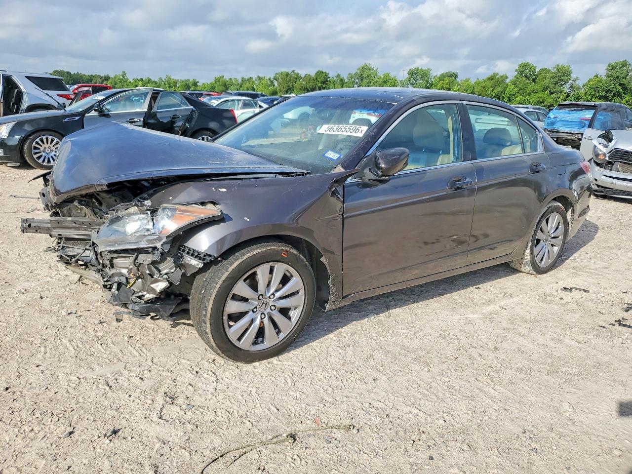 2012 Honda Accord Exl Brown vin: 1HGCP2F89CA119196