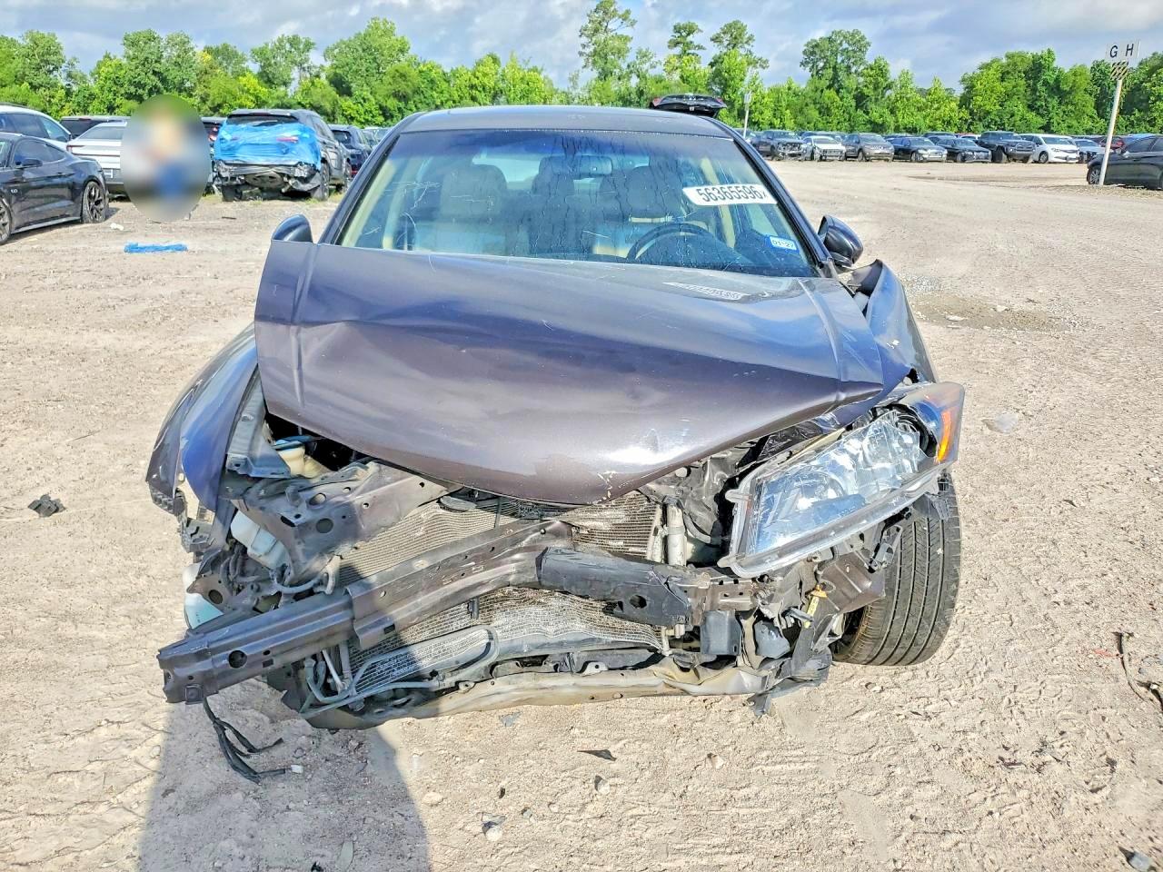 2012 Honda Accord Exl Brown vin: 1HGCP2F89CA119196