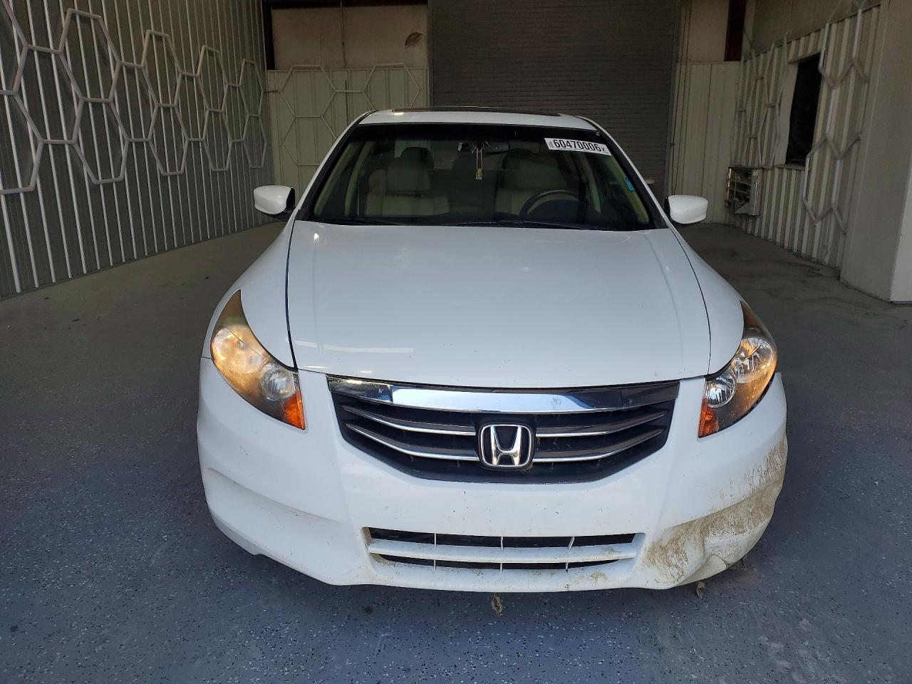 2012 Honda Accord Exl Белый vin: 1HGCP2F89CA137617