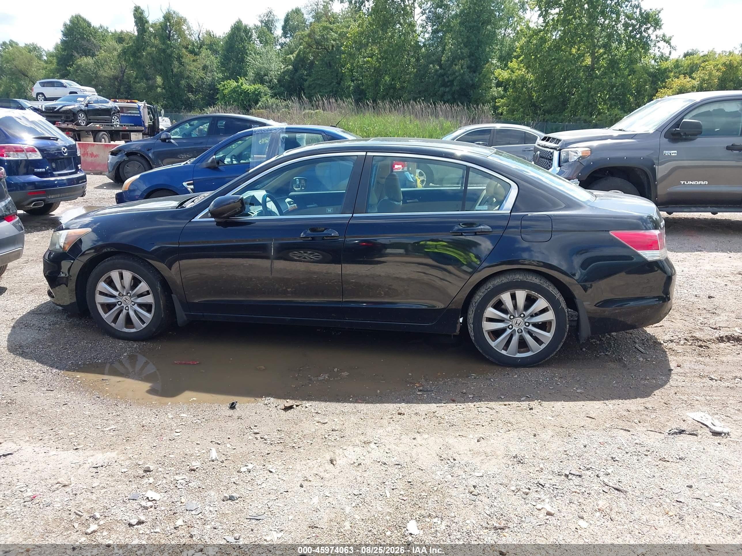 2012 Honda Accord 2.4 Ex-l Black vin: 1HGCP2F89CA198319